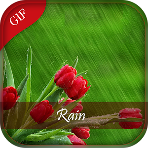 Download Rain GIF and Images For PC Windows and Mac