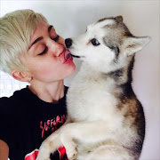 Pop star Miley Cyrus kissing her dog Floyd (c) Twitter.