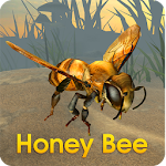 Honey Bee Simulator Apk
