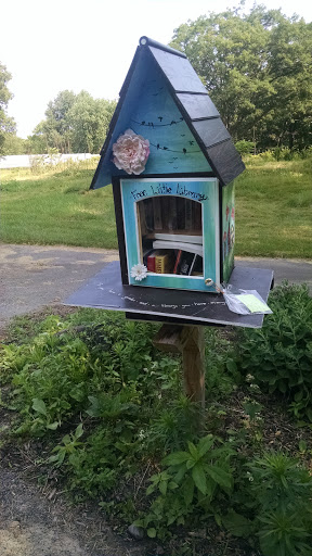 Free Little Library