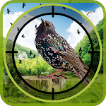 Birds Hunter in Jungle Apk