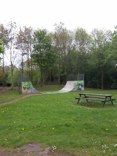 Skate Park 