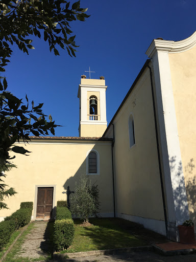 Castel Del Bosco: Chiesa Di San Brunone