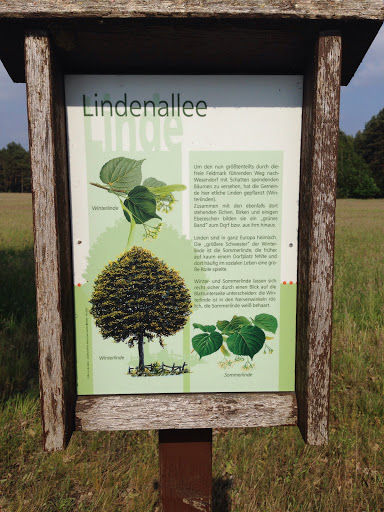 Lindenallee 