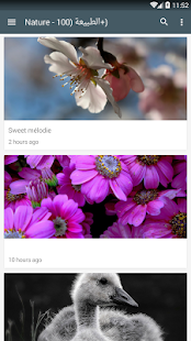 How to get Nologi Picture 1.0 apk for pc