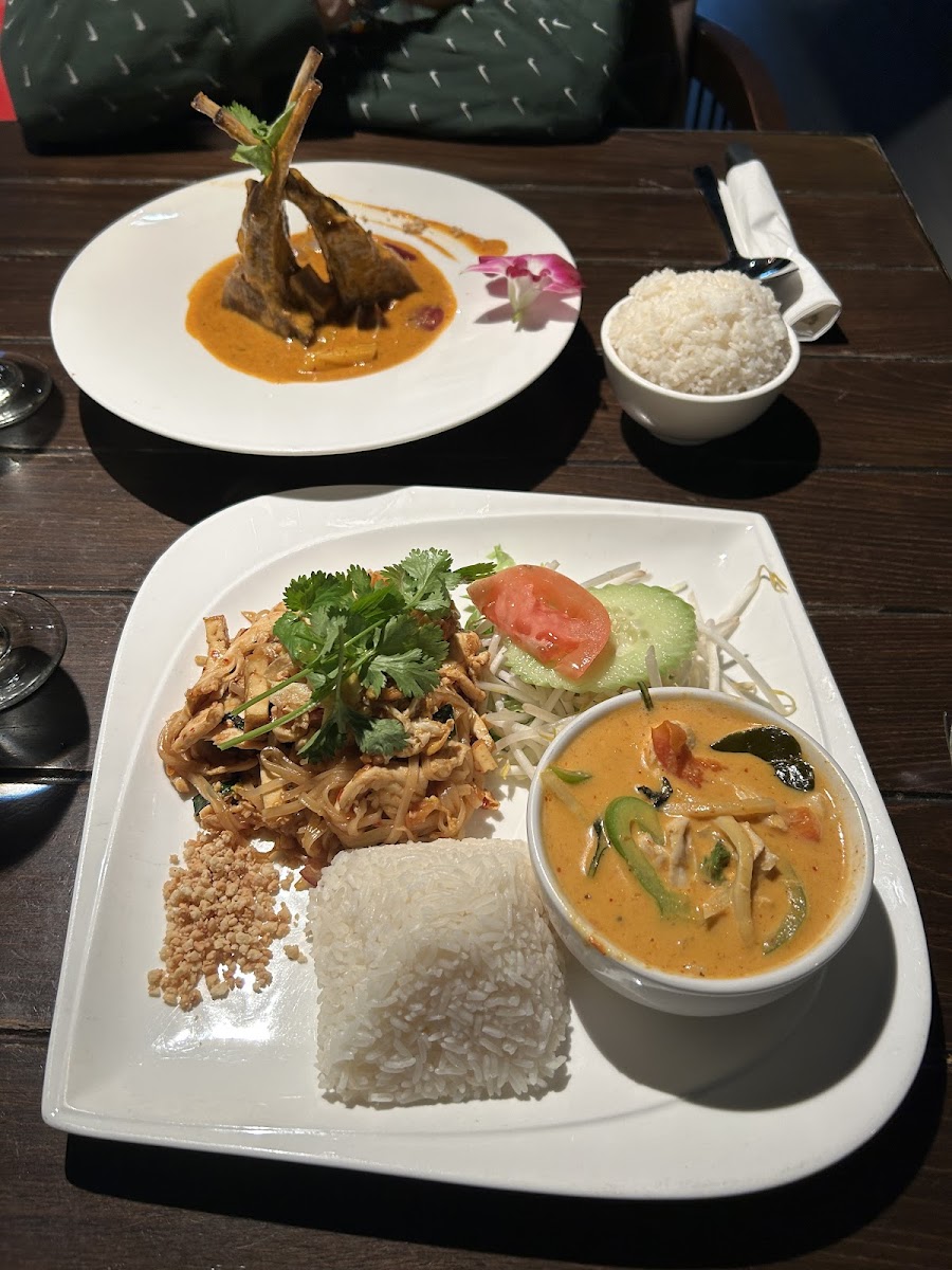 Gluten-Free at Noi Thai Cuisine