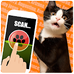 The real name cat scanner Apk