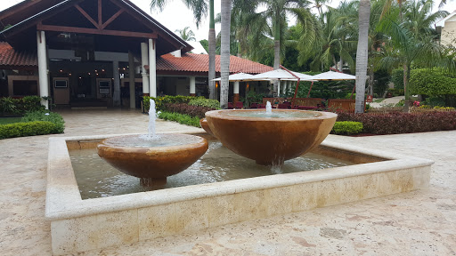 Dreams Palm Beach Fountain