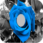 Flower Photo Frames Apk