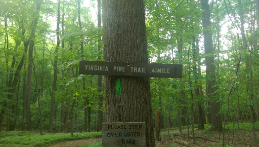 Virginia Pine Trail Marker