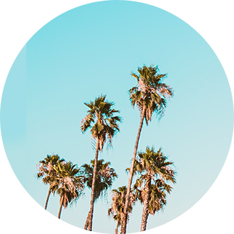 棕榈树代表洛杉矶