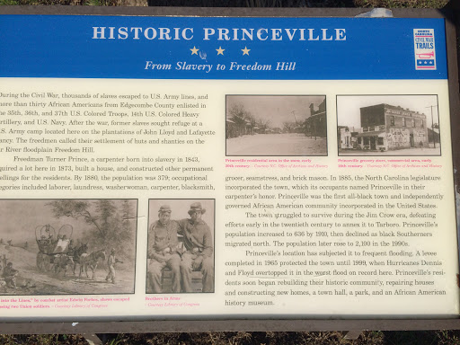 Histrionic Princeville