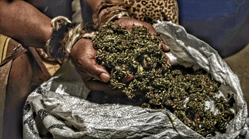 A sangoma handling the dried product.