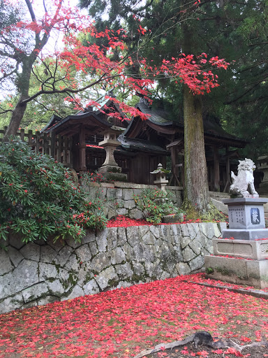 豊栄神社 Toyosaka shrine