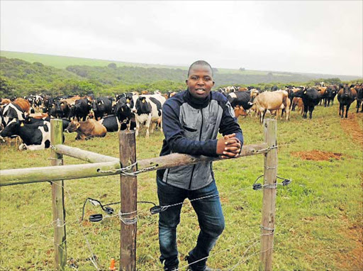 NEW MILESTONE: Youthful Alexandia dairy farmer Tshilidze walked away with a prestigious award "Chilli" Matshidzula has Picture: DAVID MACGREGOR