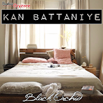 Novel Misteri Kan Battaniye Apk