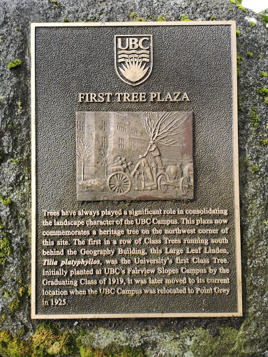 First Tree Plaza - University of British ColumbiaSubmitted by @Mobot_RPP