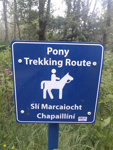 Pony Trekking Path By The Lake