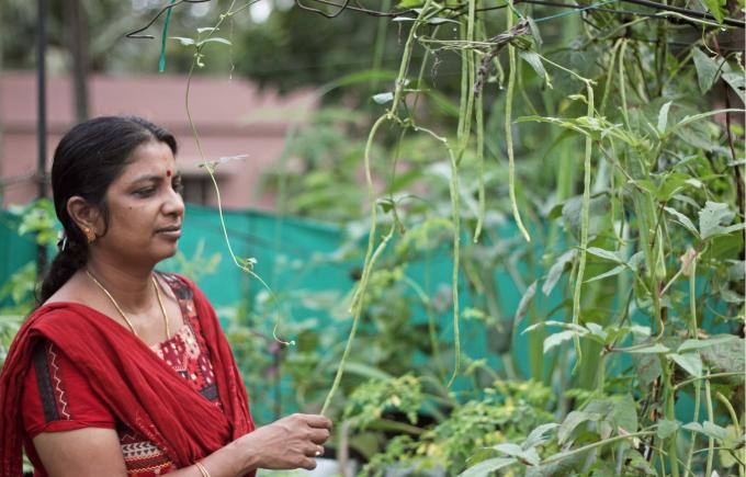 Kerala’s growing obsession with vegetable farming in homes