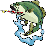 Bass Fishing For Beginners Apk