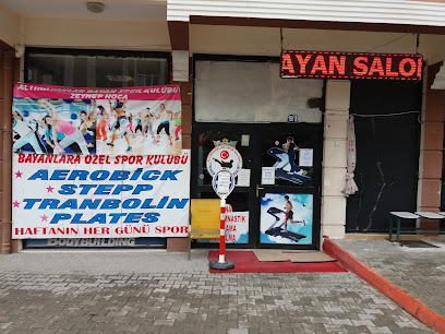 Altinayaklar Spor Kulübü