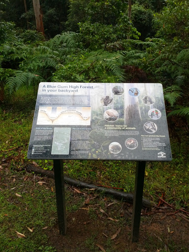 A Blue Gum High Forest In Your Backyard Sign