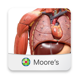 Download Moore's Anatomy Flashcards For PC Windows and Mac