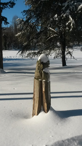 Carved Bear Atop Tree Stump