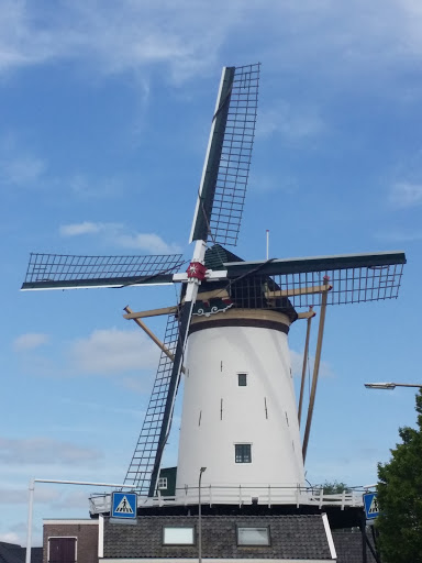 Windmolen De Arkduif te Bodegraven