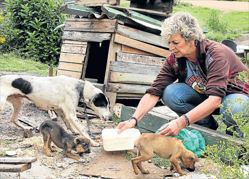 REACHING OUT: Local hero Marlene Neumann, who runs the Buckaroo sterilisation drive which focuses on healthcare for dogs Picture: SUPPLIED