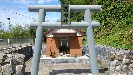 猫神社