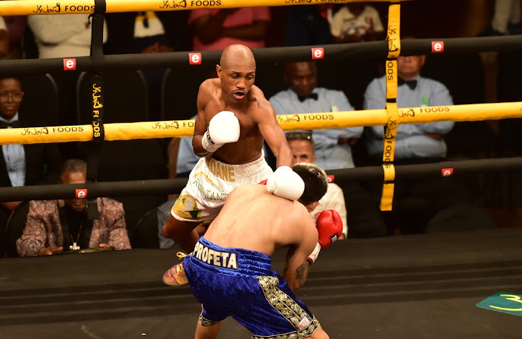 Thato Bonokoane and Diego Alberto Ruiz in their WBF world super bantamweight title fight.