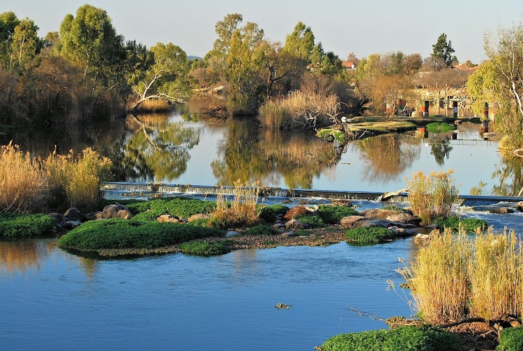 This peaceful scene of the Vaal River as it flows through Parys belies the truth that raw sewage from broken wastewater treatment plants in the Emfuleni municipality threatens jobs and poses health risks to people using the water for drinking or recreation.