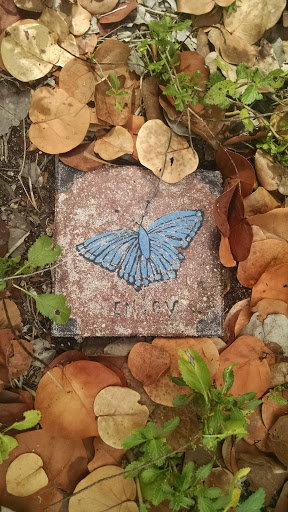 Butterfly Stone 