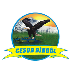 Download Cesur Bingöl Seyahat For PC Windows and Mac