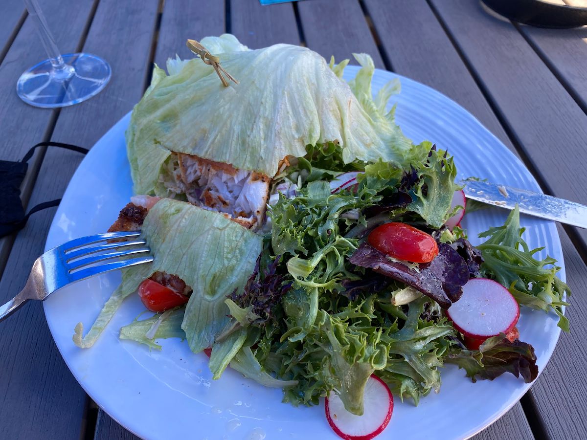 Mahi with side salad and lettuce wrap