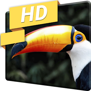 Download Macro Camera Turtle Parrot LWP For PC Windows and Mac