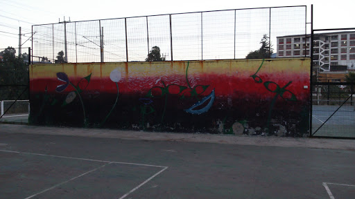 Graffitti Colegio Aconcagua