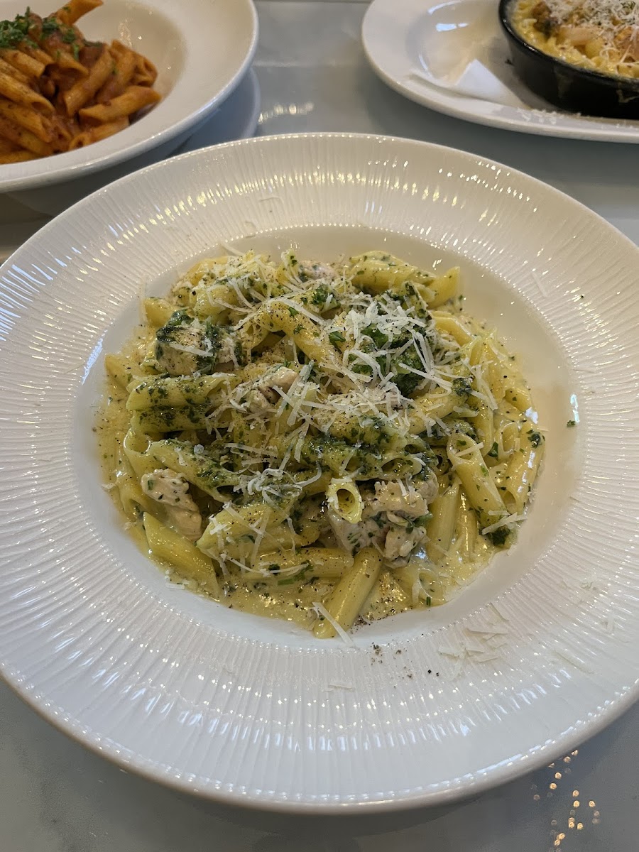 Pasta con pollo y pesto (chicken and pesto pasta)