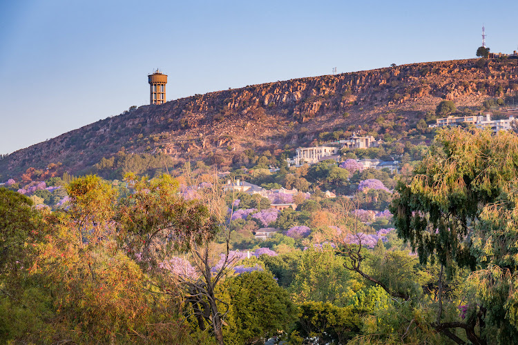 Northcliff JHB water tower on rocky ridge with Jacaranda trees in purple bloom at sunset.