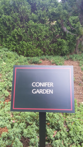 Conifer Garden