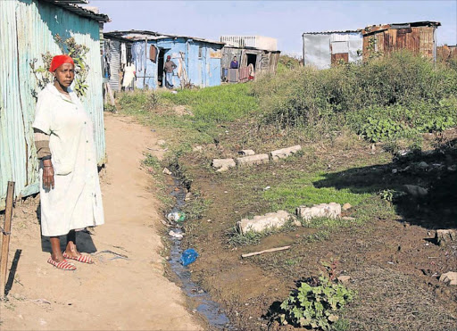 HEALTH HAZARD: Duncan Village residents in Ndende Street say they are exposed to unsafe environmental conditions due to swamp caused by water leaking from stormwater drains around their homes: Picture: SINO MAJANGAZA