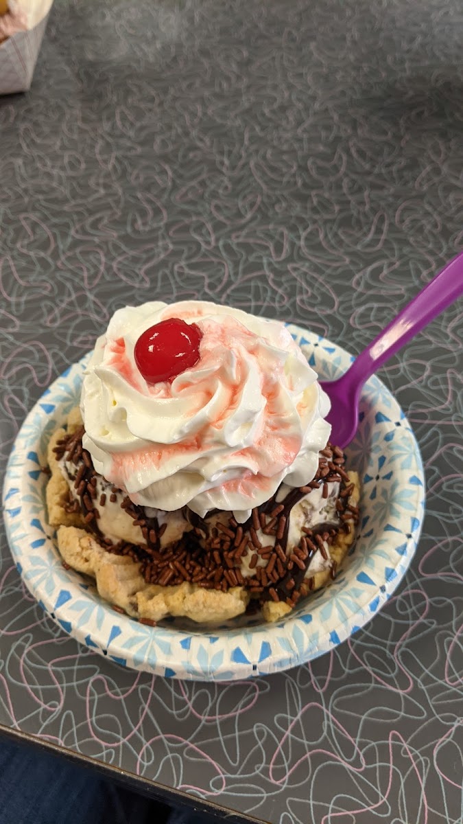 Gluten-Free Ice Cream at Cool Scoops Ice Cream Parlor