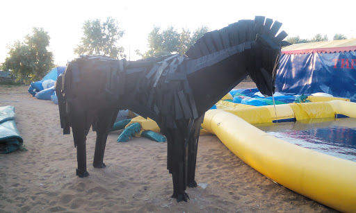 Конь На Пляже 117