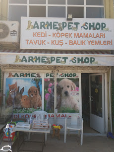 Arme Pet Shop