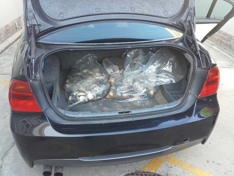 A search of a suspicious vehicle uncovered bags containing 2‚162 abalone in the boot and back seat‚ with an estimated value of over R400‚000 said Cape Town traffic services spokesman Richard Coleman.