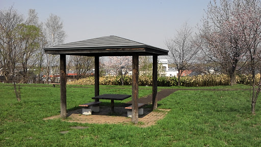 緑が丘の東屋 Resting House With Sakura