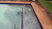 Durban resident Paula Cunnama shared this photo of her pool filled with soot.