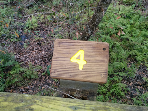 Marker 4 Sawgrass Nature Trail