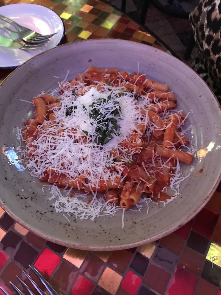 Pasta with mozzarella and red sauce